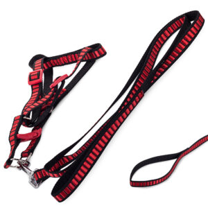 eng_pl_Leash-with-harness-dog-harness-1-5-cm-strong-1459_1